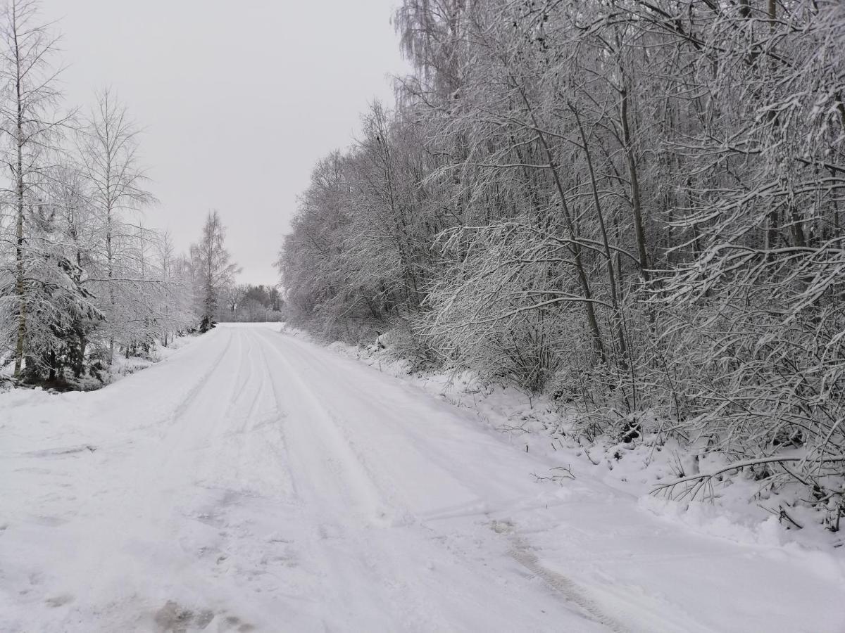 Jekaba Maja Villa Balvi Exteriör bild