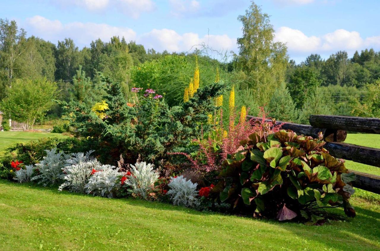 Jekaba Maja Villa Balvi Exteriör bild